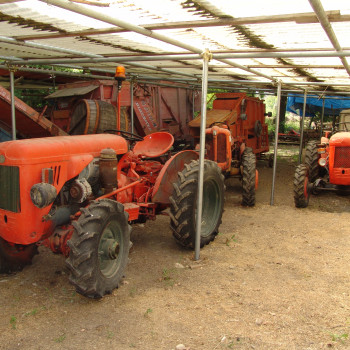 Trattori a ruote Fiat e Same, trebbiatrice